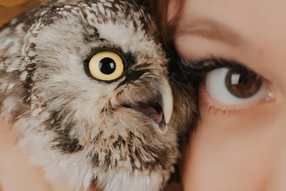 Kasino MR Fortune Sokongan